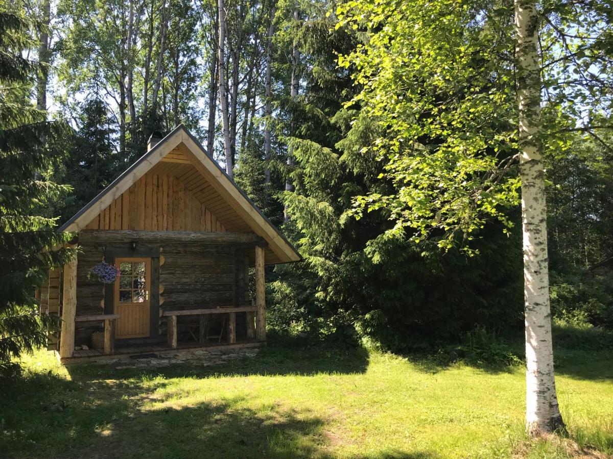 Haaviku Nature Cottage Tepelvalja Bagian luar foto