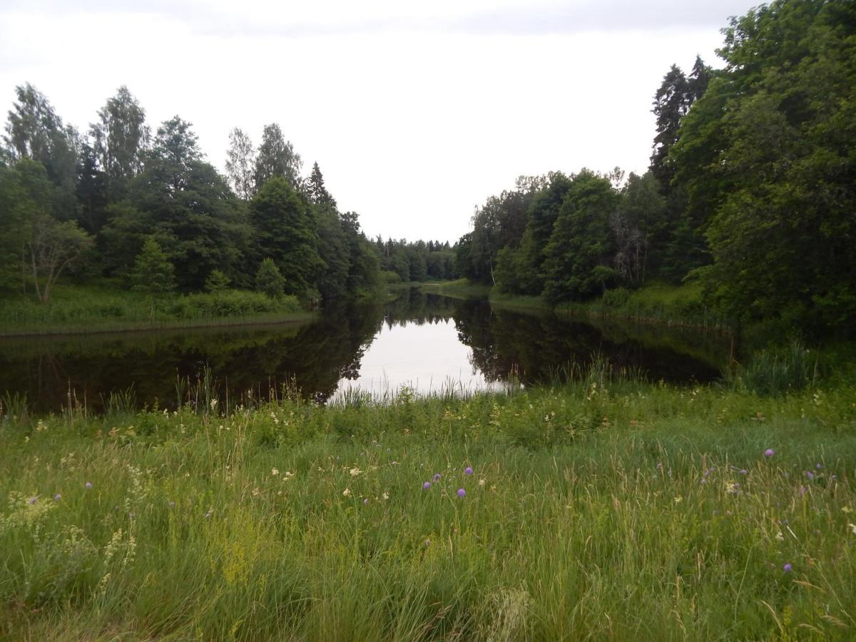 Haaviku Nature Cottage Tepelvalja Bagian luar foto